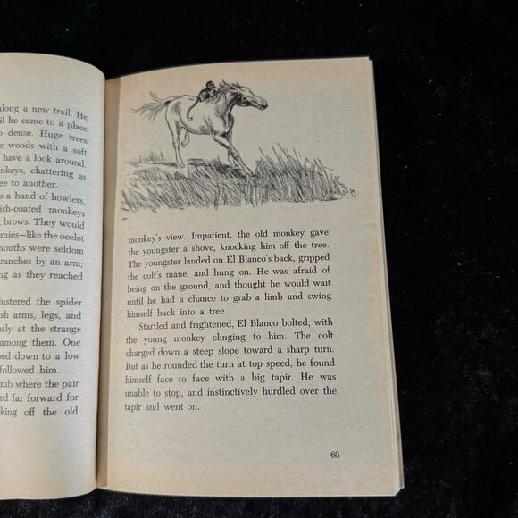 El Blanco - The Legend of the White Stallion by Rutherford Montgomery | 1972 - Picture 6 of 10